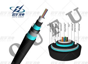 Gyxtw53 2-24 pica de DJDA cashpaca cabre cabre nishca jallpa
